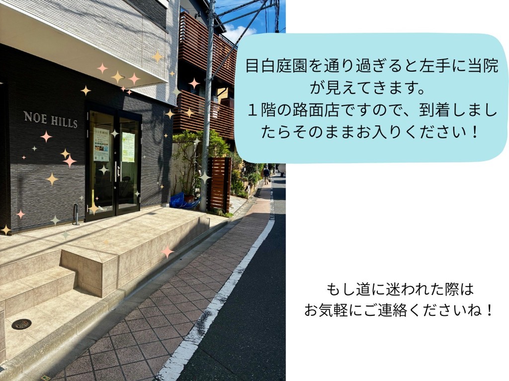 目白庭園を通り過ぎると左手に見える当院の外観。NOE HILLS の1階路面店です。